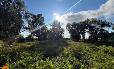 Venta de Terreno de 1.18ha En Villa Alegre, Maule