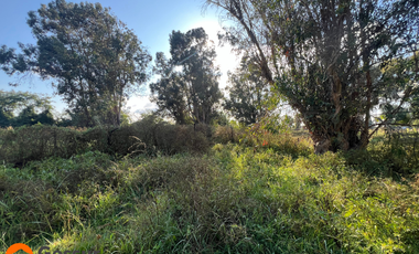 Venta de Terreno de 1.18ha En Villa Alegre, Maule
