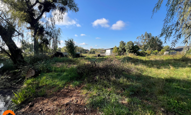 Venta de Terreno de 1.18ha En Villa Alegre, Maule