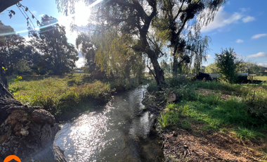 Venta de Terreno de 1.18ha En Villa Alegre, Maule