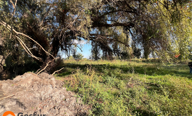 Venta de Terreno de 1.18ha En Villa Alegre, Maule