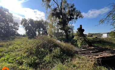Venta de Terreno de 1.18ha En Villa Alegre, Maule