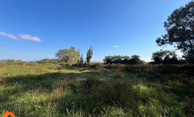Venta de Terreno de 1.18ha En Villa Alegre, Maule