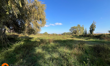 Venta de Terreno de 1.18ha En Villa Alegre, Maule
