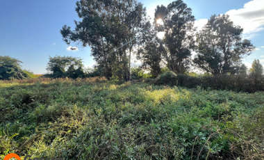 Venta de Terreno de 1.18ha En Villa Alegre, Maule