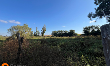 Venta de Terreno de 1.18ha En Villa Alegre, Maule