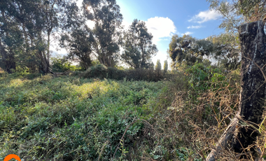 Venta de Terreno de 1.18ha En Villa Alegre, Maule