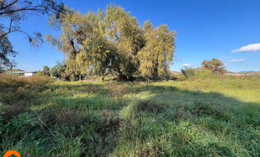 Venta de Terreno de 1.18ha En Villa Alegre, Maule