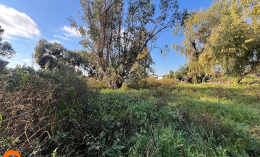 Venta de Terreno de 1.18ha En Villa Alegre, Maule