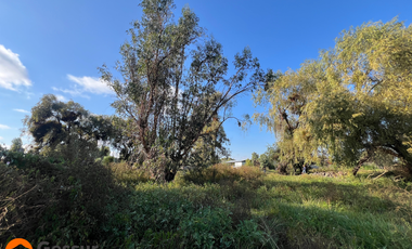 Venta de Terreno de 1.18ha En Villa Alegre, Maule