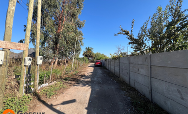 Venta de Terreno de 1.18ha En Villa Alegre, Maule