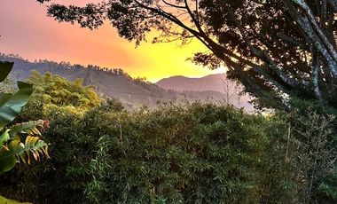 AMPLIO LOTE EN SABANETA CERCA A LA NATURALEZA Y LA CIUDAD