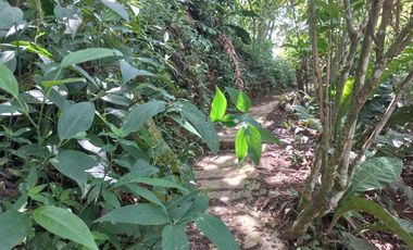 VENTA DE FINCA CAMPESTRE EN BARBOSA ANTIOQUIA.