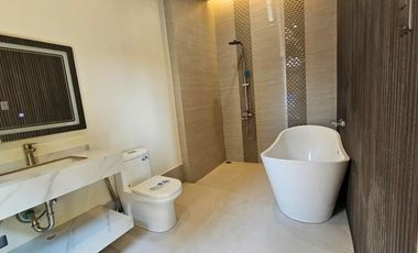 HUGE ELEGANT SINGLE DETACHED HOUSE AND LOT IN BF HOMES PARANAQUE CITY