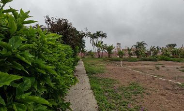 Venta de Lotes para Casas de Campo en Eco condominio en San Luis - Cañete