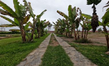 Venta de Lotes para Casas de Campo en Eco condominio en San Luis - Cañete