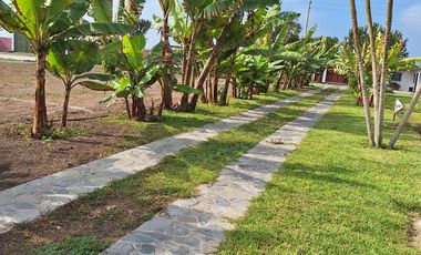 Venta de Lotes para Casas de Campo en Eco condominio en San Luis - Cañete