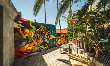 Renta de estudio en zona dorada