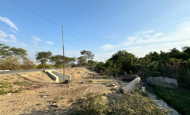Oportunidad De Inversión Venta De Fundo De Palto En Motupe.(G.YALICO)
