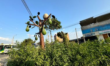 Oportunidad De Inversión Venta De Fundo De Palto En Motupe.(G.YALICO)