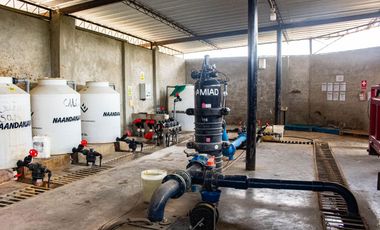 Oportunidad De Inversión Venta De Fundo De Palto En Motupe.(G.YALICO)