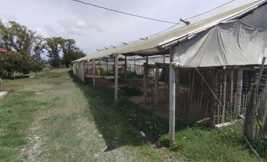 SE RENTA FINCA EN EL CARMEN,VEREDA CAMPO ALEGRE