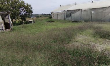 SE RENTA FINCA EN EL CARMEN,VEREDA CAMPO ALEGRE