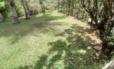 SE RENTA FINCA,LA CEJA,PARCELACION LAGOS DEL CHAMIZO