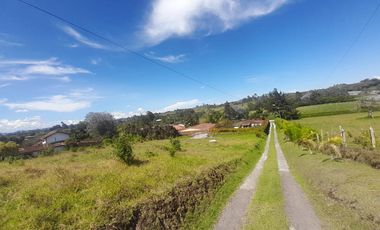 SE RENTA LOCAL,EL CARMEN,VEREDA LAS GARZONAS