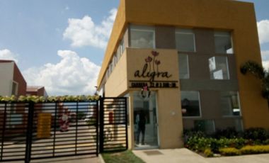 CASA ALEGRA ALFAGUARA