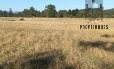 PARCELAS CON ROL PROPIO DE 5.000 M2 C/U. SECTOR ESTERO DE LA PLATA