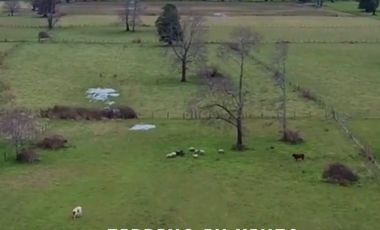 PARCELAS CON ROL PROPIO DE 5.000 M2 C/U. SECTOR ESTERO DE LA PLATA