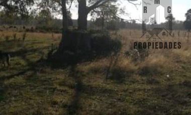 PARCELAS CON ROL PROPIO DE 5.000 M2 C/U. SECTOR ESTERO DE LA PLATA