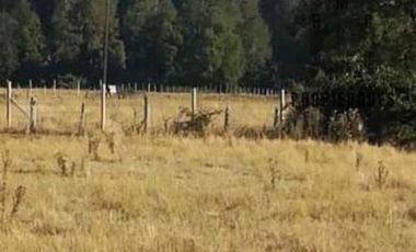 PARCELAS CON ROL PROPIO DE 5.000 M2 C/U. SECTOR ESTERO DE LA PLATA