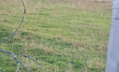 PARCELAS CON ROL PROPIO DE 5.000 M2 C/U. SECTOR ESTERO DE LA PLATA