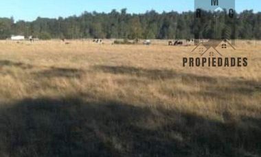 PARCELAS CON ROL PROPIO DE 5.000 M2 C/U. SECTOR ESTERO DE LA PLATA