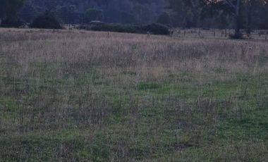 PARCELAS CON ROL PROPIO DE 5.000 M2 C/U. SECTOR ESTERO DE LA PLATA