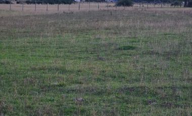 PARCELAS CON ROL PROPIO DE 5.000 M2 C/U. SECTOR ESTERO DE LA PLATA