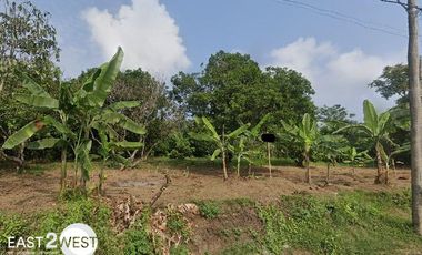 Dijual Kavling Jalan Raya Maja - Koleang Cilayang Lebak Banten Murah Lokasi Nyaman Sangat Strategis