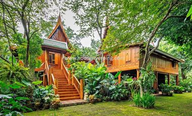 Prestigious Ayutthaya-Style Golden Teak House on Prime Land Above the Ping River, Never Flooded, Just Minutes from Chiang Mai City