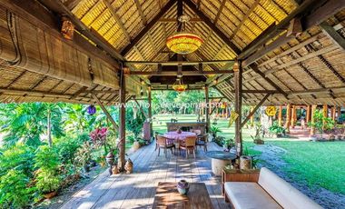 Prestigious Ayutthaya-Style Golden Teak House on Prime Land Above the Ping River, Never Flooded, Just Minutes from Chiang Mai City