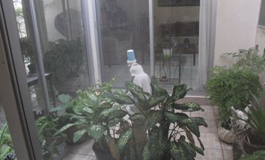 VENDO CASA UNA PLANTA EN FRACC. COSTA DE ORO  BUENA UBICACION