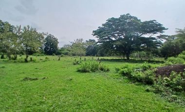 LOTE EN VENTA CASCAJAL
