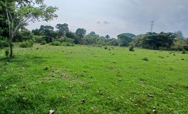 LOTE EN VENTA CASCAJAL
