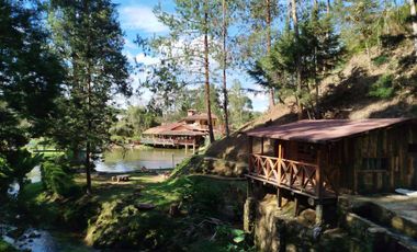 TE VENDO ESTA PRECIOSA FINCA EN GUARNE ANTIOQUIA.