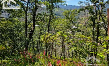 TERRENO UBICADO EN CAPULA MINERAL DEL CHICO, COLINDA CON EL RÍO $46 EL M2