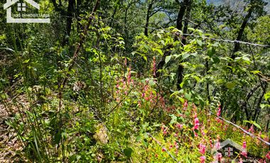 TERRENO UBICADO EN CAPULA MINERAL DEL CHICO, COLINDA CON EL RÍO $46 EL M2