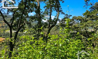 TERRENO UBICADO EN CAPULA MINERAL DEL CHICO, COLINDA CON EL RÍO $46 EL M2