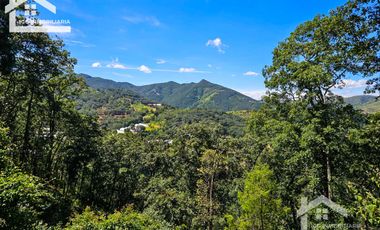 TERRENO UBICADO EN CAPULA MINERAL DEL CHICO, COLINDA CON EL RÍO $46 EL M2