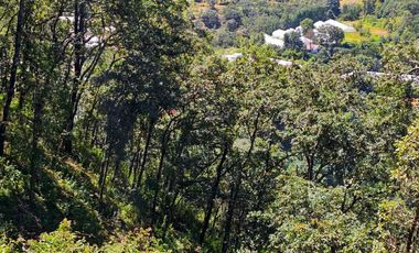 TERRENO UBICADO EN CAPULA MINERAL DEL CHICO, COLINDA CON EL RÍO $46 EL M2